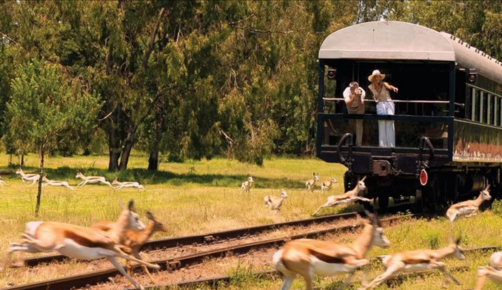 Viagens de trem